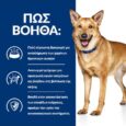 HILLS CANINE i/d 1,5 kg