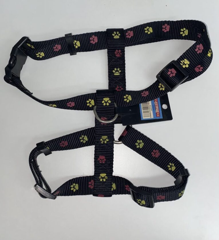 409830098_874142371031385_200593407185915091_n