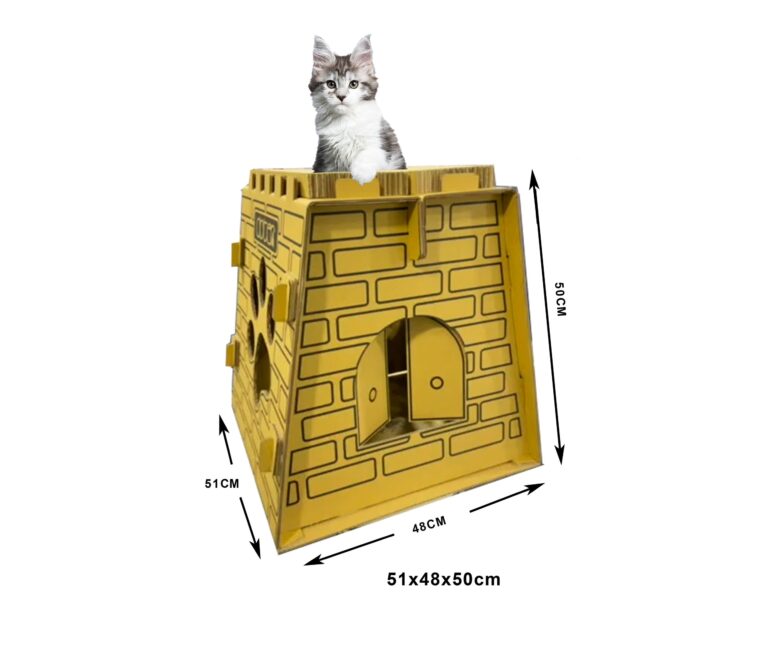 cathouse-1petshug-scaled-1